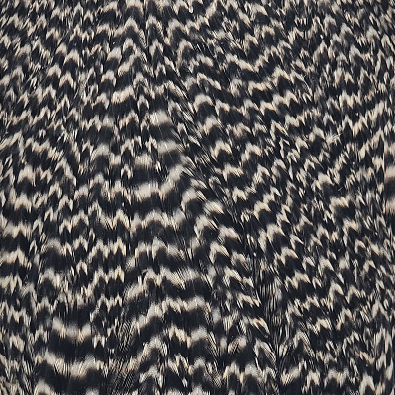 whiting-hen-cape_GRIZ