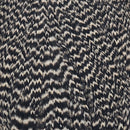 whiting-hen-cape_GRIZ