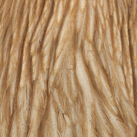 whiting-hen-cape_LIGI