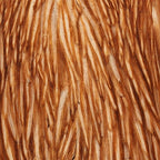 medium ginger