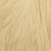 whiting-hen-cape_WHIT