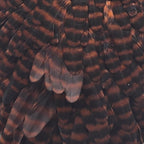 grizzly dyed coachman brown