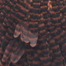 whiting-hen-saddle_GCBR