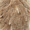 whiting-hen-saddle_LIGI