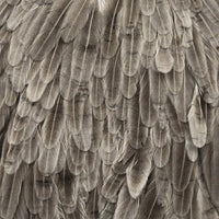 whiting-hen-saddle_NADU