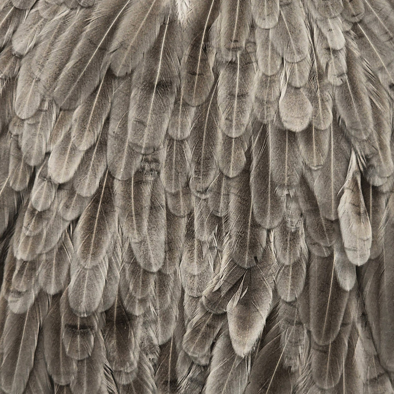 whiting-hen-saddle_NADU