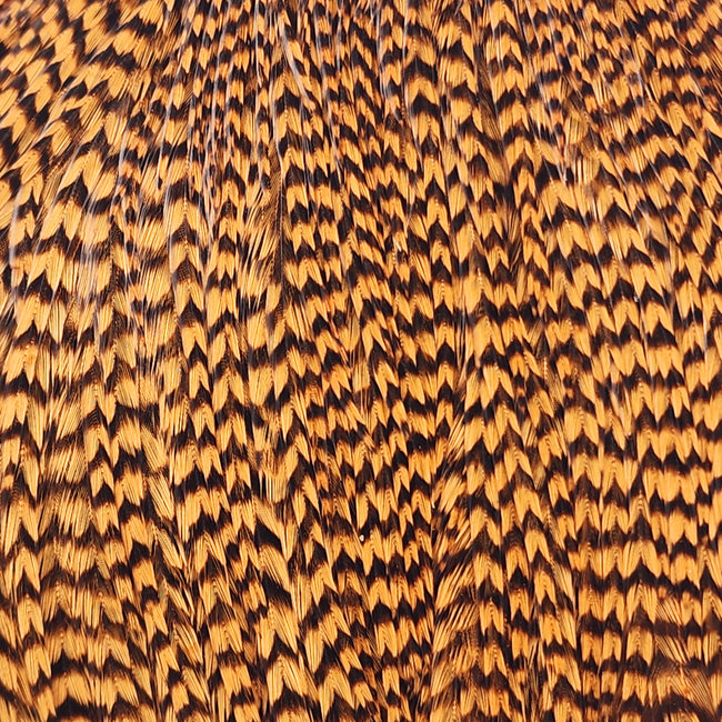 Top Cape