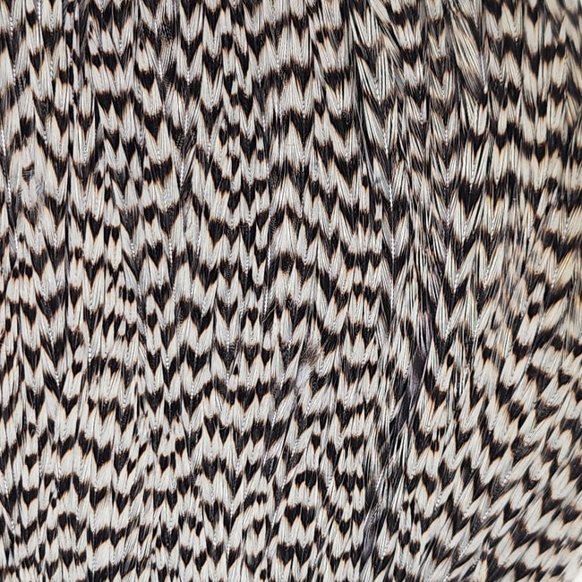 Top Cape