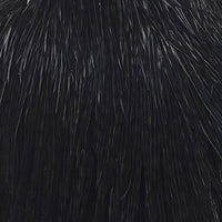 NM-650010-SBLK2