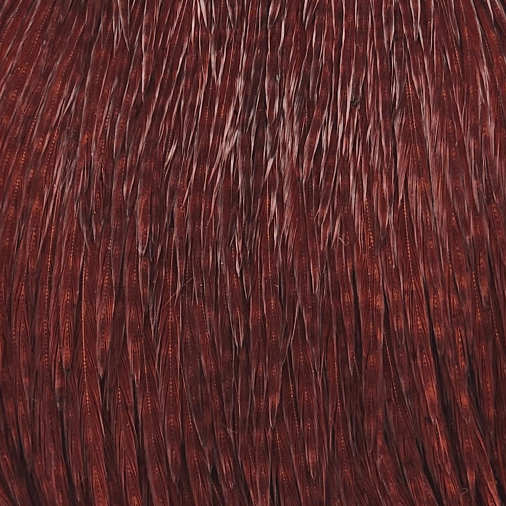 NM-650010-SCOA2