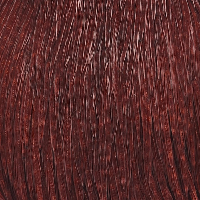 NM-650010-SCOA2