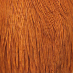 Ginger