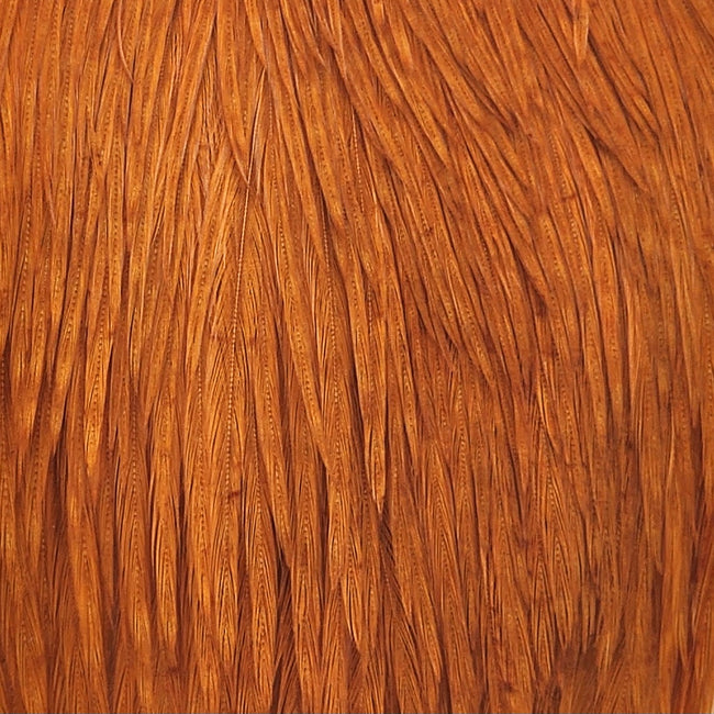 Top Cape