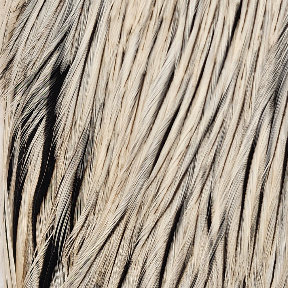 ewing-dry-fly-cape_BADG