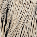 ewing-dry-fly-cape_BADG