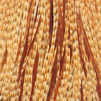 Barred Ginger