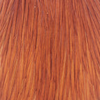 Ginger