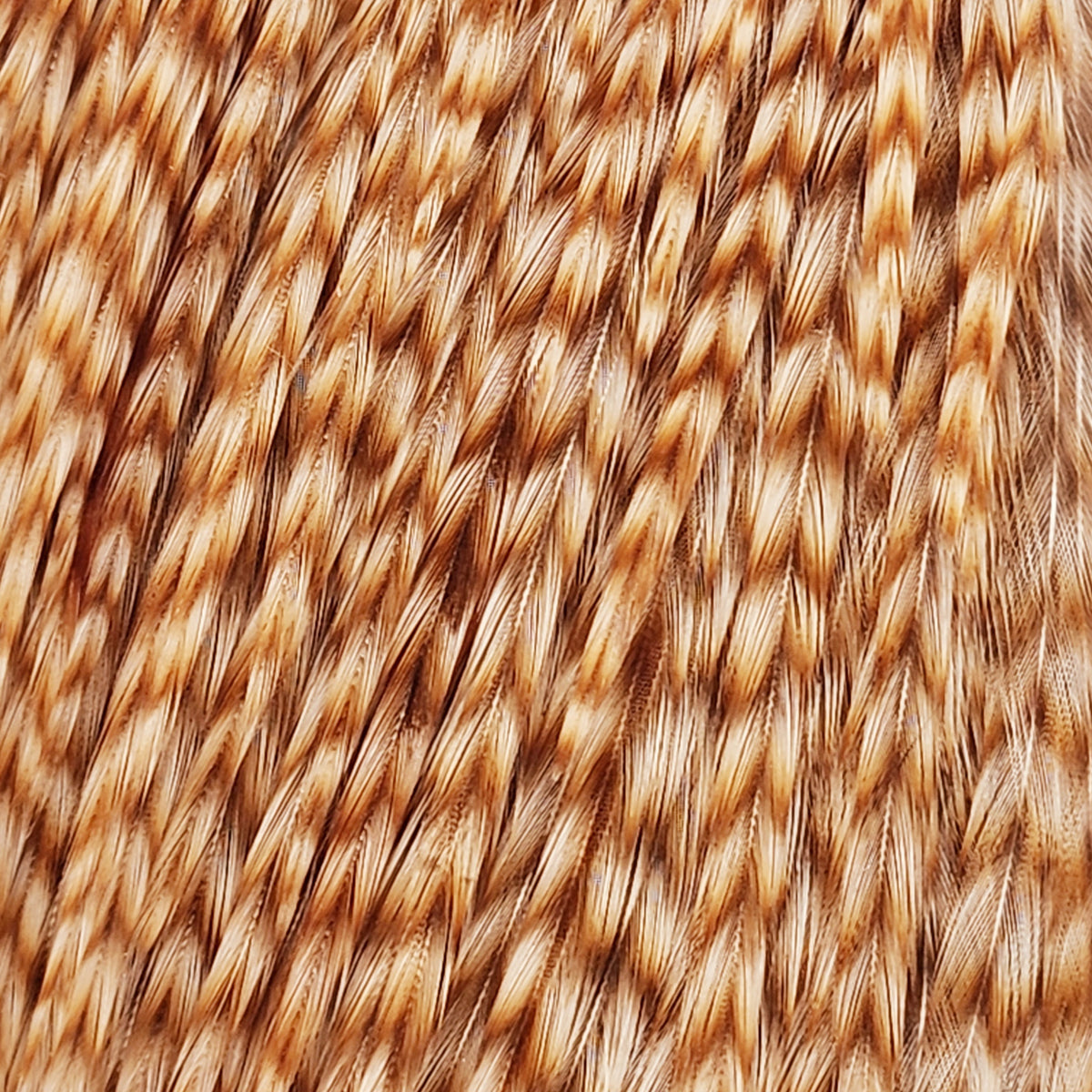 Dry Fly Half Cape | Ewing | Hackle | J. Stockard Fly Fishing