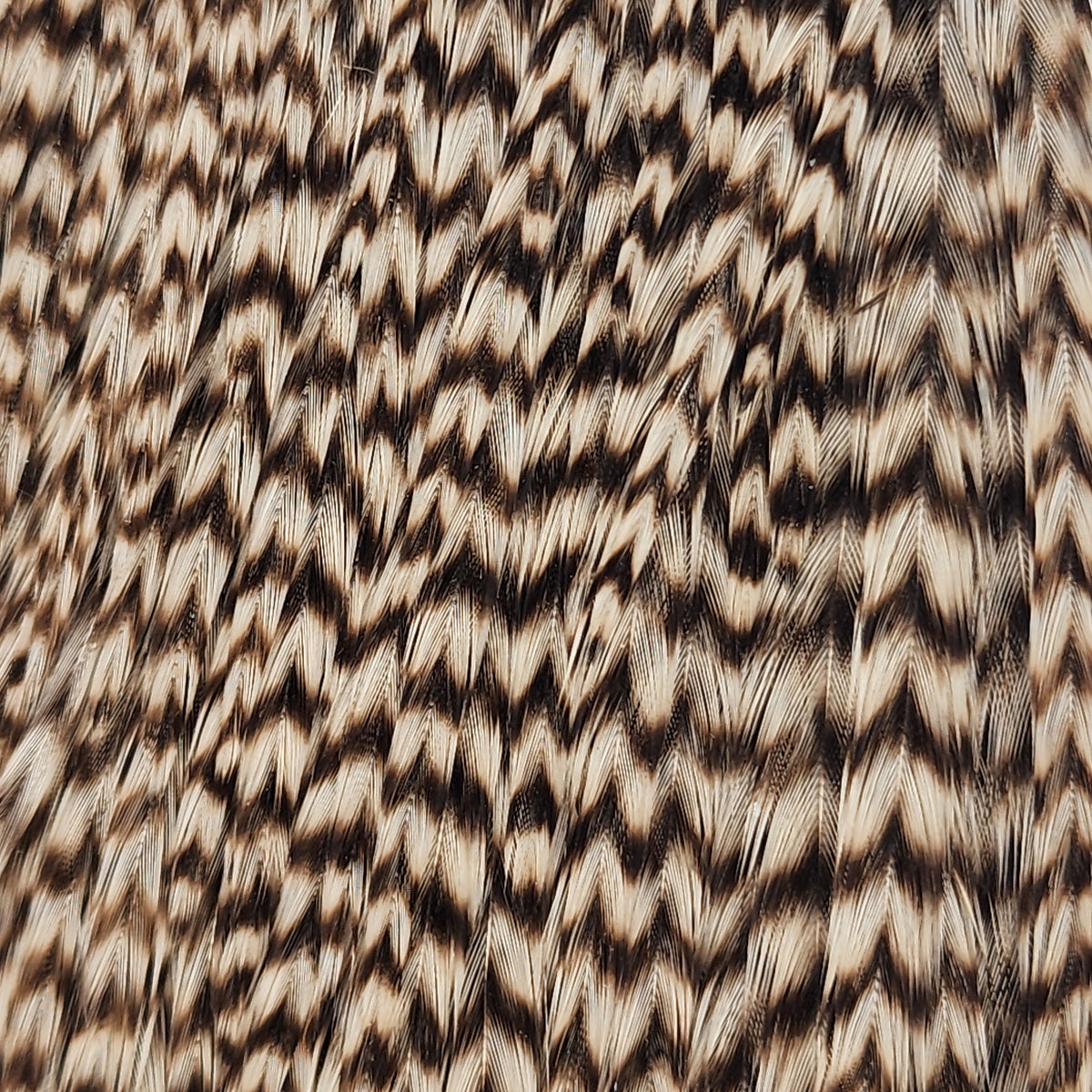 Dry Fly Half Cape | Ewing | Hackle | J. Stockard Fly Fishing
