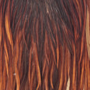 ewing-dry-fly-half-saddle_BRWN