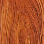 Ginger