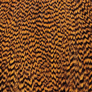 NM-650150-GGIN_56489939-d362-4262-ae8d-3179521f36c