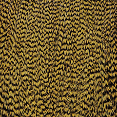 ewing-dyed-cape_GGOO
