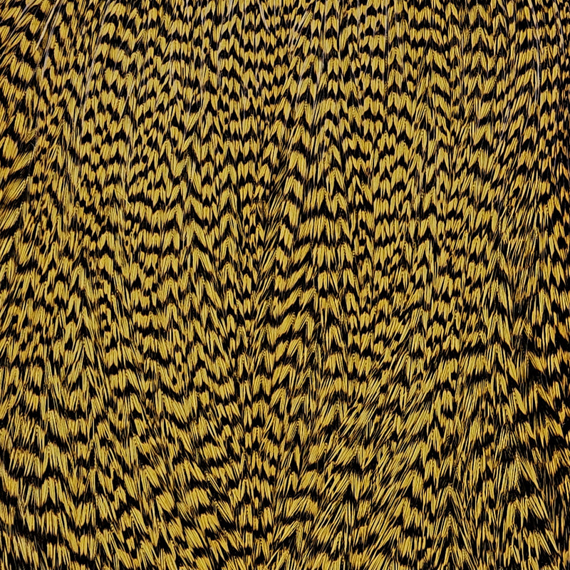 ewing-dyed-cape_GGOO