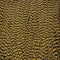 Dyed Cape