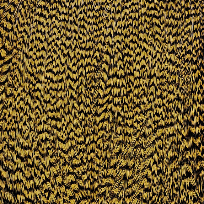 Dyed Cape