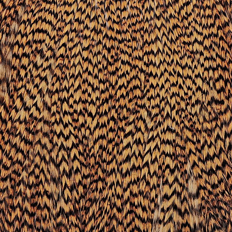 ewing-dyed-cape_GHON