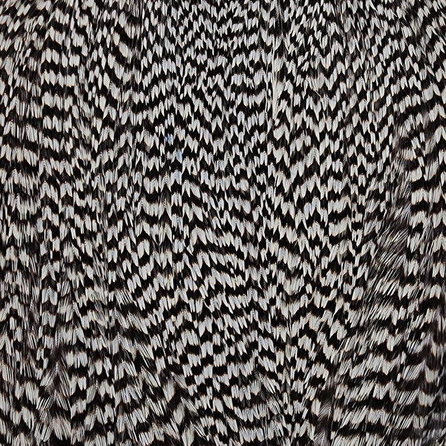Dyed Cape