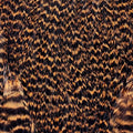 Dyed Hen Saddle