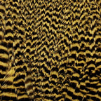 Grizzly Golden Olive