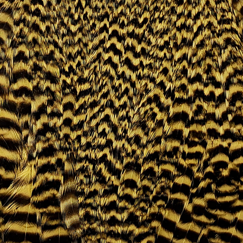 ewing-dyed-hen-cape_GGOO