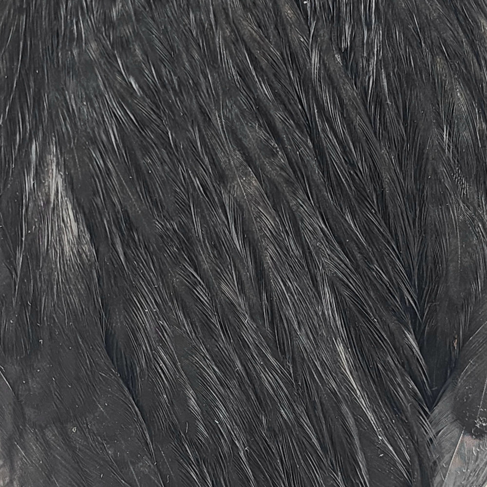 ewing-dyed-hen-cape_SBLK