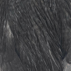 ewing-dyed-hen-cape_SBLK
