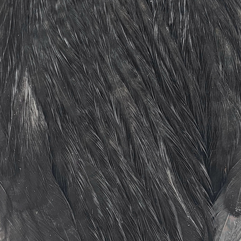 ewing-dyed-hen-cape_SBLK