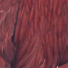 ewing-dyed-hen-cape_SCOA