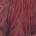Dyed Hen Saddle