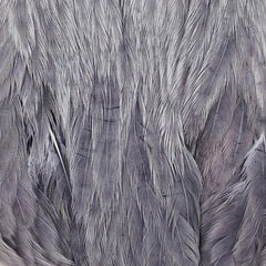 ewing-dyed-hen-cape_SLBD