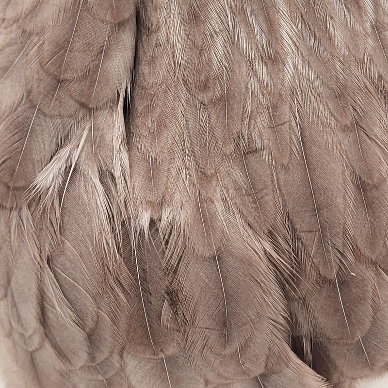 ewing-dyed-hen-cape_SMDU
