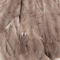 Dyed Hen Saddle
