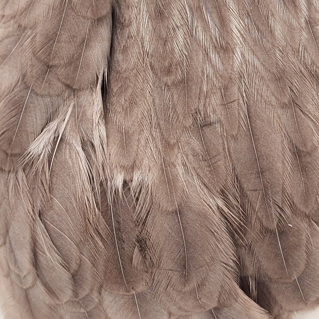 Dyed Hen Saddle