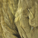 ewing-dyed-hen-cape_SOLI