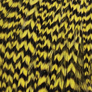 ewing-mini-pack-sz-10-12_GGCH