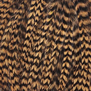 ewing-mini-pack-sz-10-12_GHON