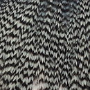 ewing-mini-pack-sz-10-12_GLBD