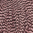 ewing-mini-pack-sz-10-12_GLIP