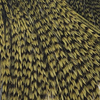 Grizzly Olive